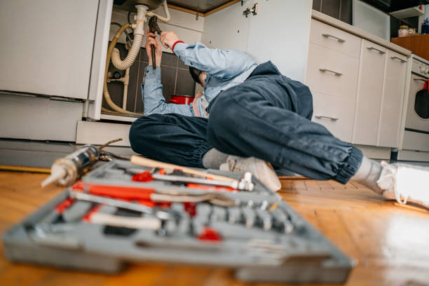 Best Plumbing Inspection Services  in Cetronia, PA